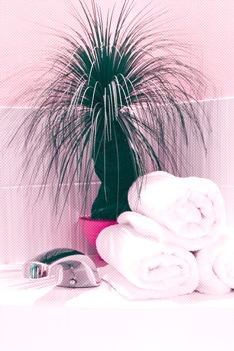 Extra Step provides Green clean options for all customers